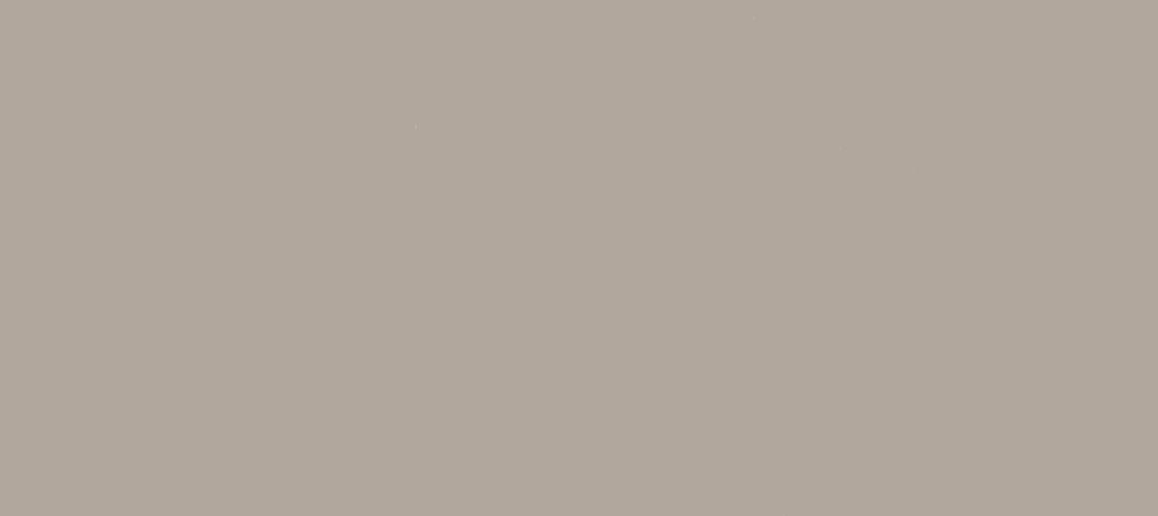 0748 Beige Arizona | FENIX materials and solutions for